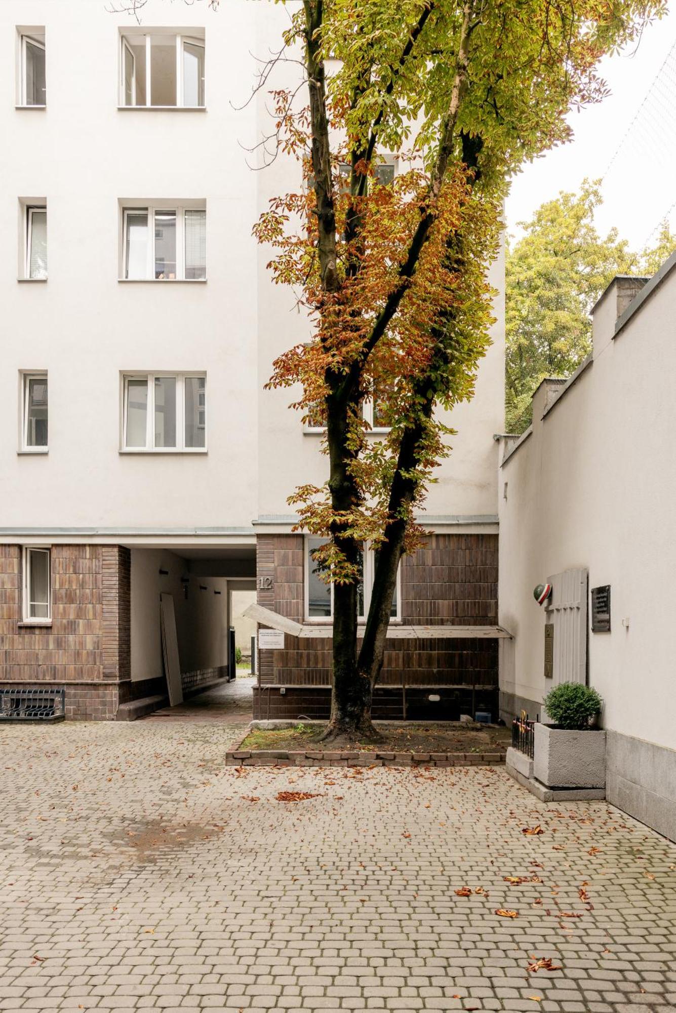 Cozy Studio Poznanska Downtown Quiet Warschau Buitenkant foto